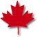 flag1.JPG (2207 bytes)